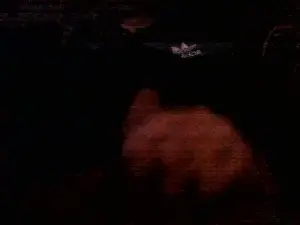 Cam4 Private Sex Chat of W1ck3dg4m3