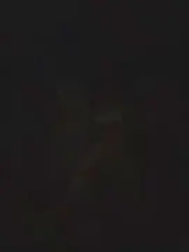 Cam4 Live Porn of AlGa0797
