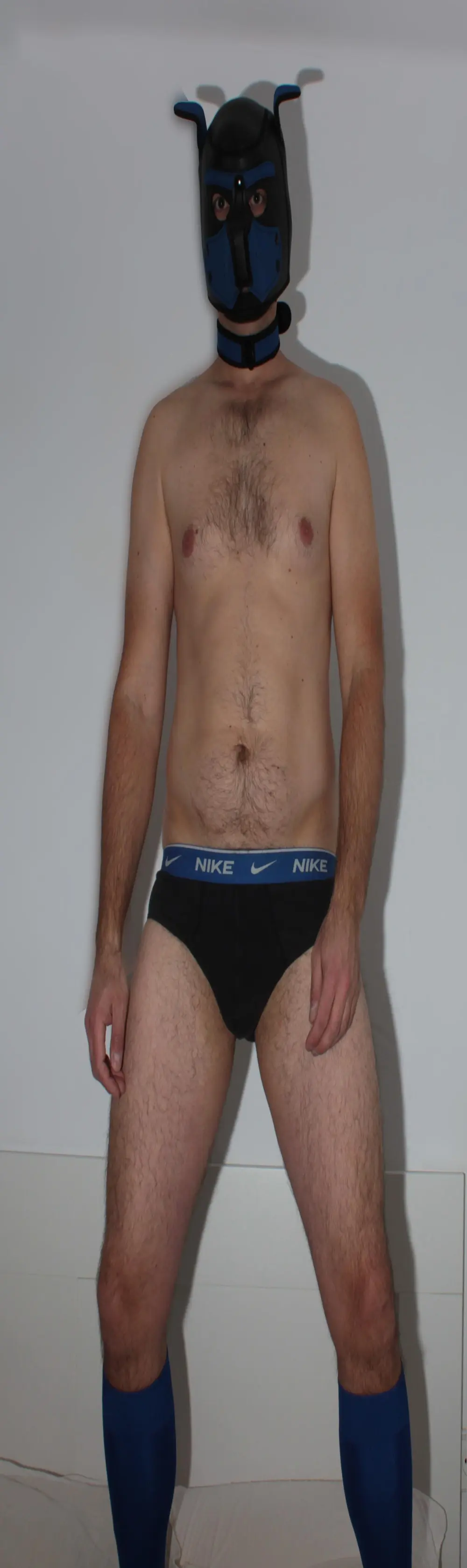 bluegayboy
