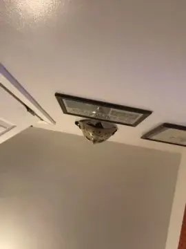 Cam4 Best Webcam of Love2cum4200