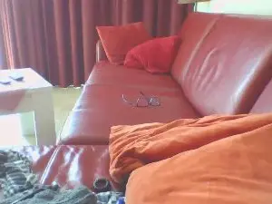 Cam4 Best Webcam of lossee3