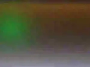 Cam4 Live Porn of pigpants69