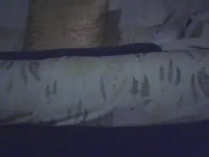 Cam4 Private Sex Chat of inagi