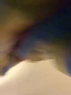 Cam4 Free Live Porn of Phatdickdanny