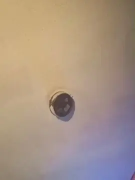 Cam4 Free Live Porn of Cum_Daddy39