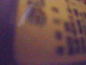 Cam4 Adult Video Chat of Don_chaquetas