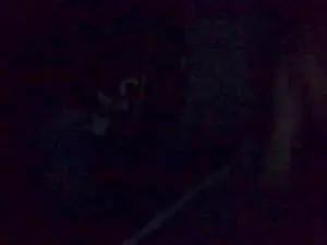 Cam4 Adult Webcam of SexiausCpl69