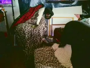 Photo 1