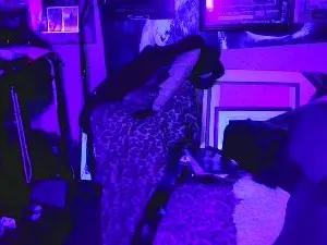 Cam4 Live Porn of blindsurfer