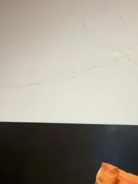 Cam4 Live Sex of Rainbowsguy2001