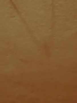 Cam4 Sex Cam of Tukipajaro74_Po