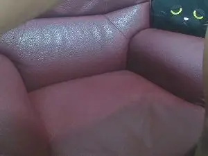 Cam4 Free Live Porn of likebesucked
