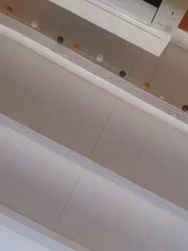 Cam4 Best live sex cam show of Thiebaud