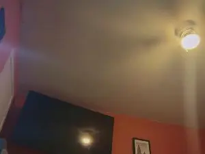 Cam4 Live Porn of Bearchub300