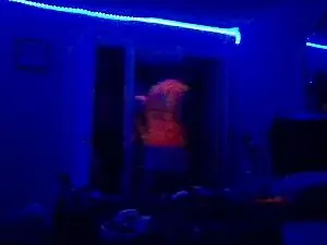 Cam4 Live Sex Cam of SoberJudge26