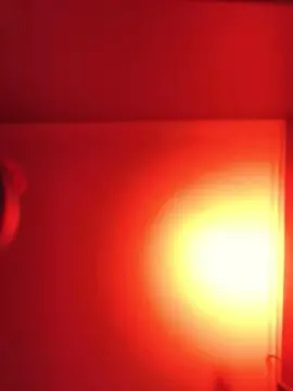 Cam4 Live Sex Cam of jereklein24k
