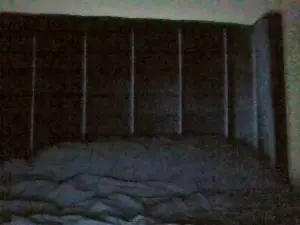 Cam4 Free Live Porn of pinedagomez