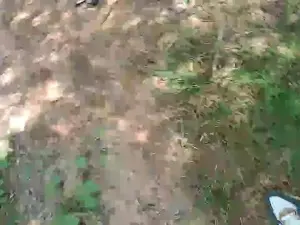 Cam4 Free Porn Cam of gay428