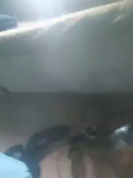 Cam4 Best Webcam of Dota21