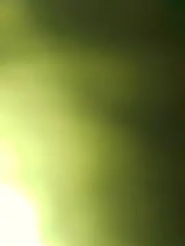 Cam4 Live Sex of alex_mlochupas