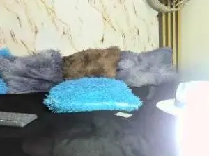 Cam4 Sex Chat of obregon_boyx18