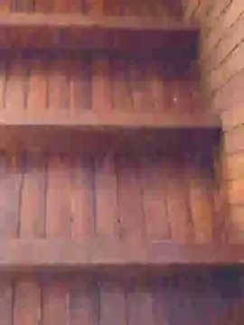 Cam4 Adult Webcams of Elnegro_06
