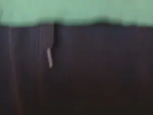 Cam4 Sex Chat of Kenny_Kyle