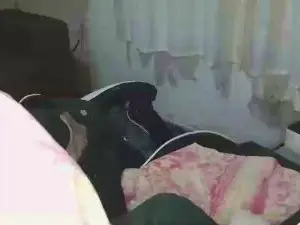 Cam4 Live Sex of joaopaulogc