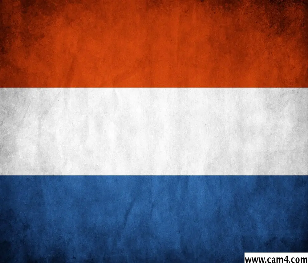 dutchbeamer