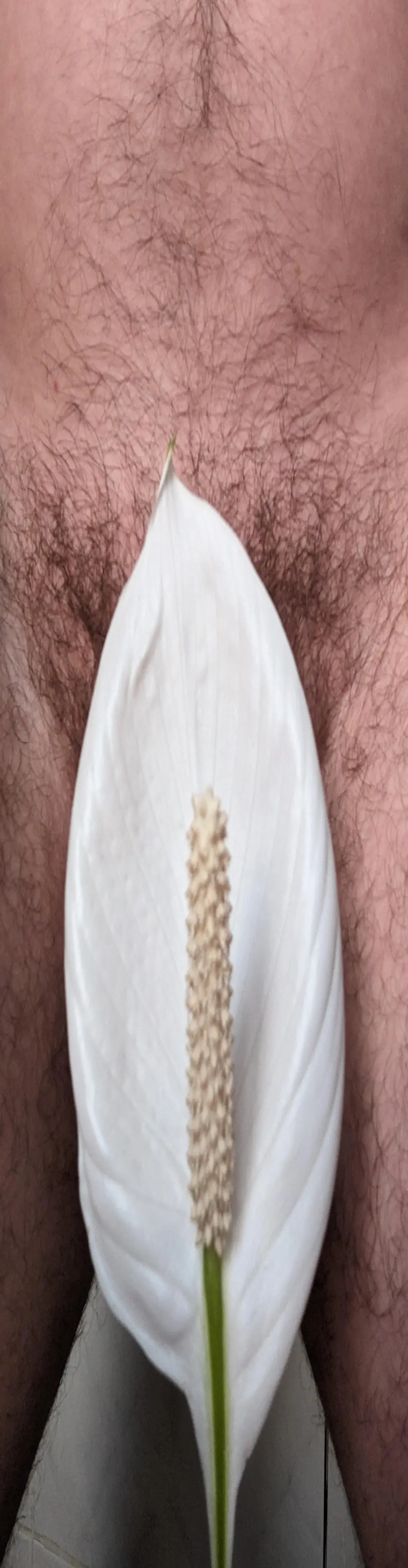Pepiok67