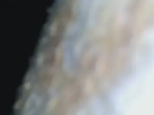 Cam4 Sex Cam of juliencha