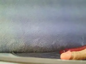Cam4 Free Porn Cam of enricoferrari41