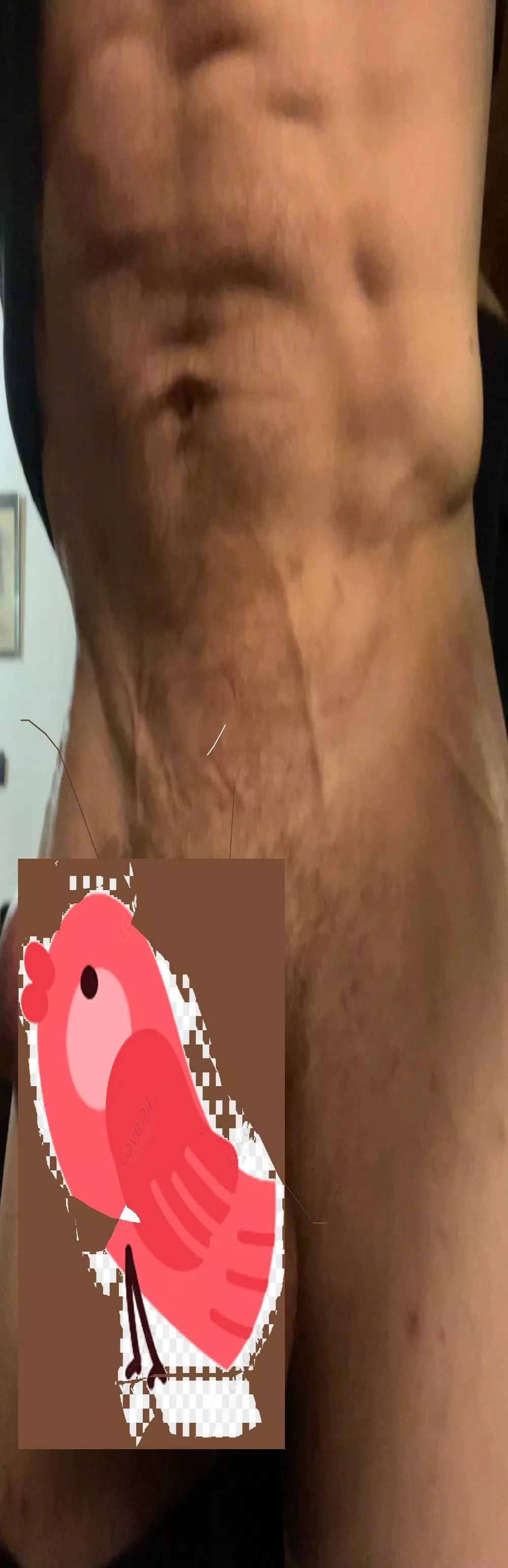 Sandroplum