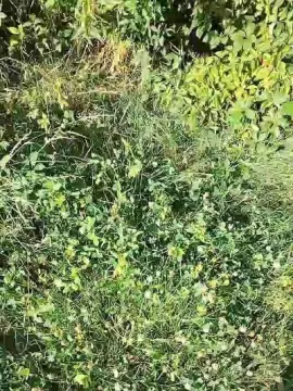 Cam4 Live Porn of slipfun_sexy