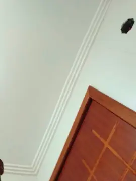 Cam4 Live Sex of Negaodorio21