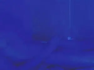 Cam4 Adult Webcam of HotDereck01
