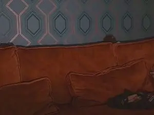 Cam4 Adult Video Chat of thatgayguyNL92