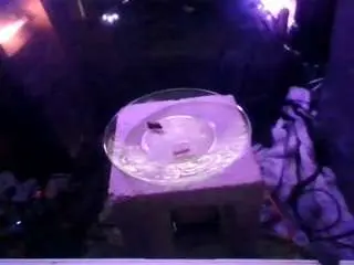Camsoda Sex Cam of secretsexpert