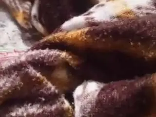 Camsoda Live Sex Cam of rockojsj