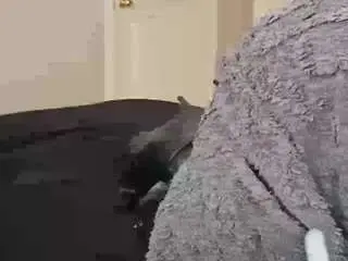 Camsoda Sex Cam of 13bolpen