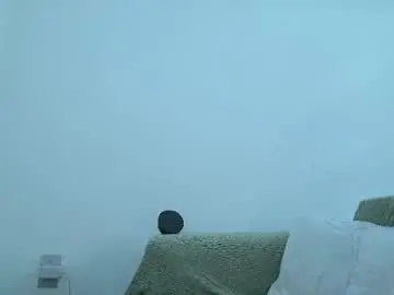 Chaturbate Free Live Porn of baddaddybrasil