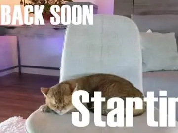 Chaturbate Free Porn Cam of sultryandrewww