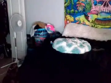 Chaturbate Free Live Porn of tehkie
