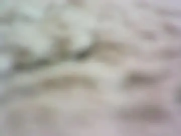 Chaturbate Free Porn Cam of donkykong1980