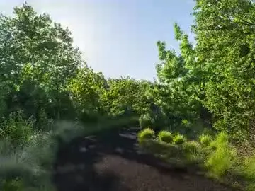 Chaturbate Adult Video Chat of makingmoans