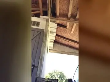 Chaturbate Live Sex of countryjoe2002