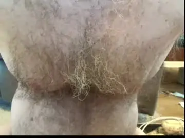 Chaturbate Free Live Porn of harry_banana