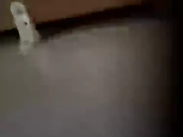 Chaturbate Adult Video Chat of moos1
