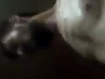 Chaturbate Live Sex Cam of fffjj021