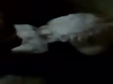 Chaturbate Live Porn of lou_suffer